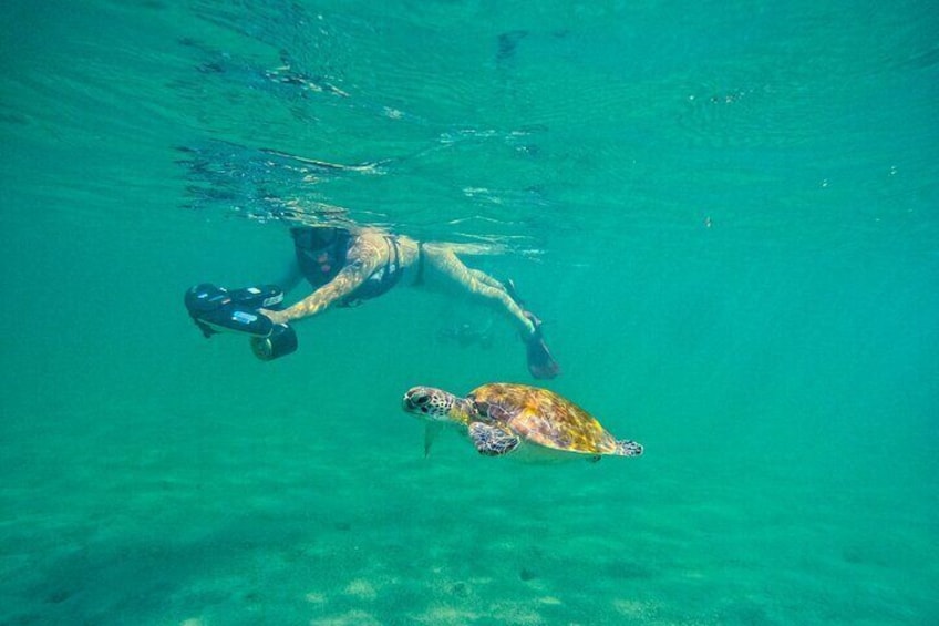 Puerto Rico Jet Snorkel with Turtles and Videos in San Juan