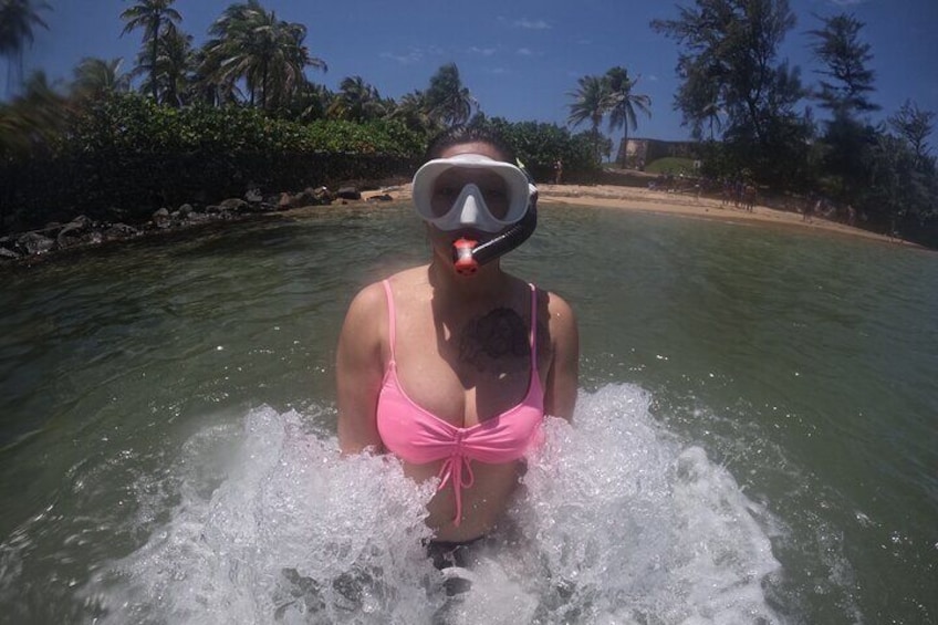 San Juan Jet Snorkel with Turtles and Videos