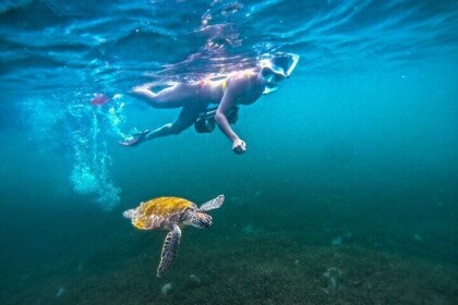 Puerto Rico Jet Snorkel with Turtles and Videos in San Juan