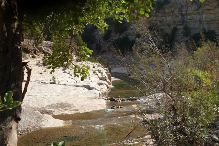 Show item 2 of 6. PARRADISE VALLEY 1/2 day from 08:30AM till 13:00