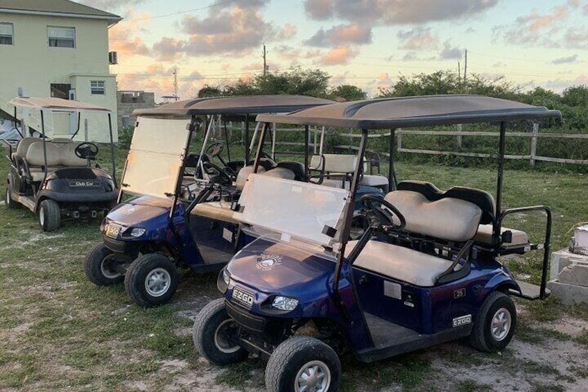 Golf Cart Adventure