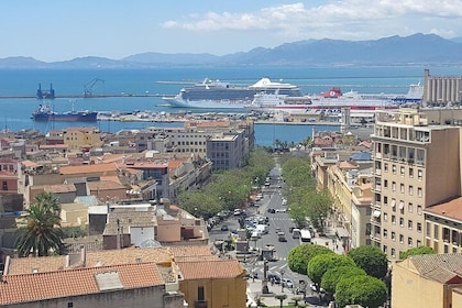 Cagliari Private Shore Excursion: Hop-on Hop-off City Experience