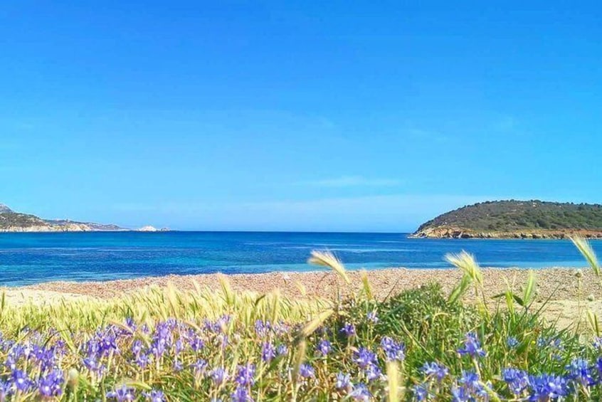 Cagliari Shore Excursion: Amazing Hidden Beaches Jeep Tour