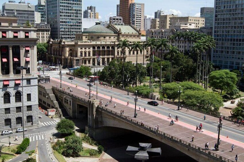Santos Shore Excursion: Full Day Sao Paulo City Tour Sightseeing and Airport