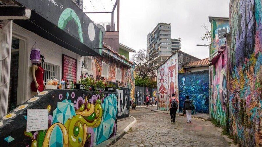 Santos Shore Excursion: Full Day Sao Paulo City Tour Sightseeing and Airport