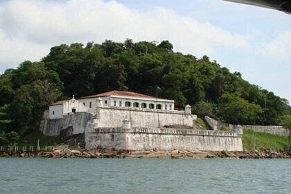 Santos Private Shore Excursion: Heldagsbyoplevelse med sightseeing