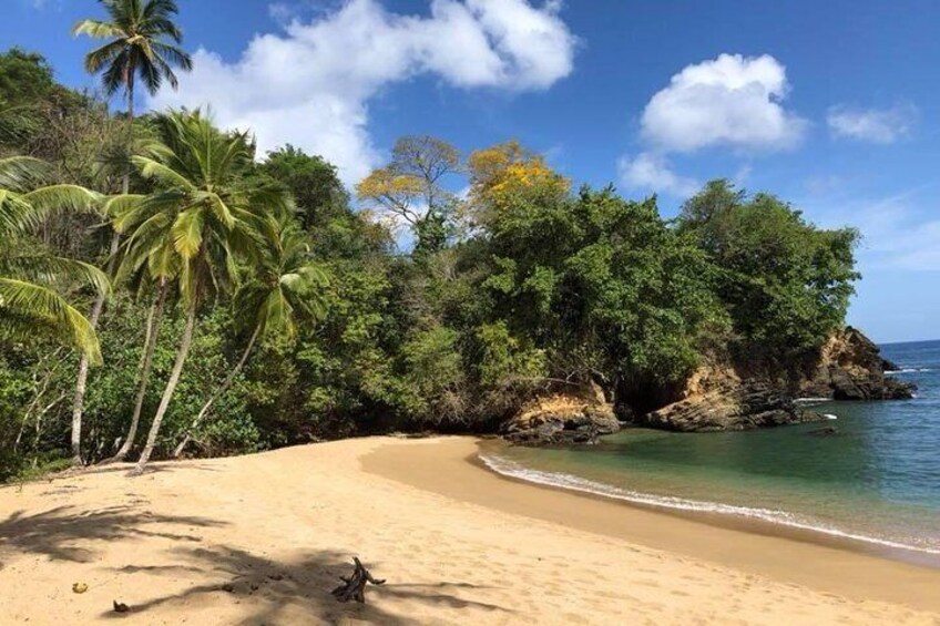 Full Island Tour (Including Lunch & Snorkeling)