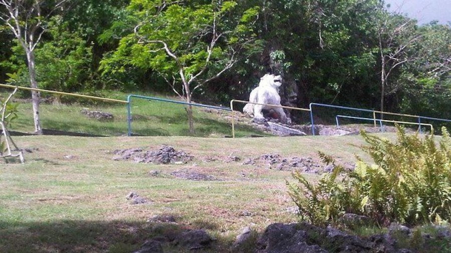 Lion at Gun HIll