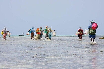 Cultural Village Tour