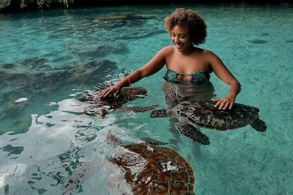 Salaam Cave Zanzibar (Turtles Santuary)