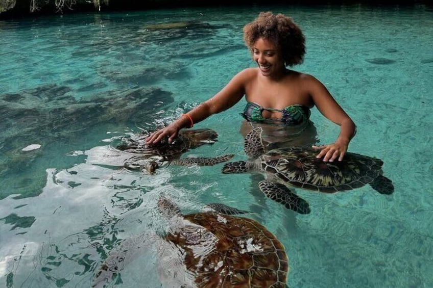 Salaam Cave Zanzibar (Turtles Santuary) 