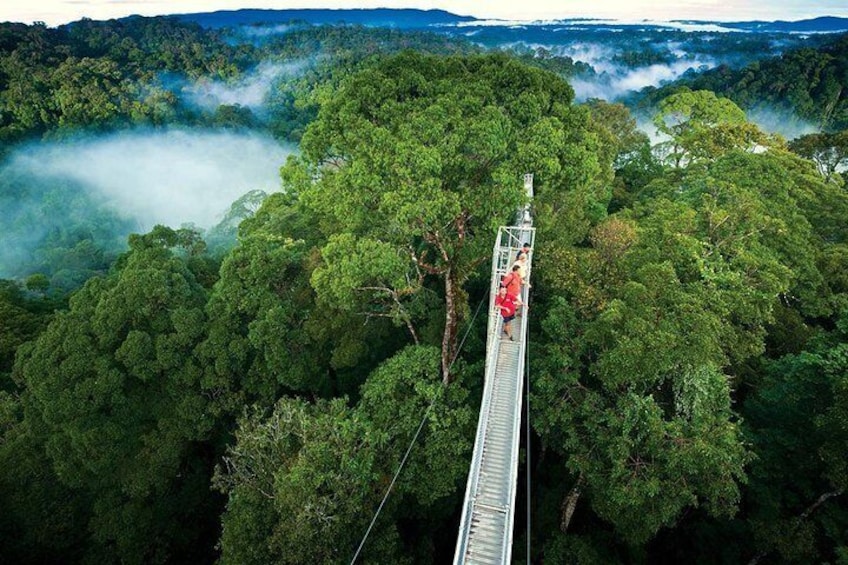 View of Monteverde Cloud Forest