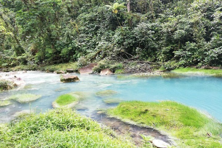 Río Celeste, Tenorio National Park