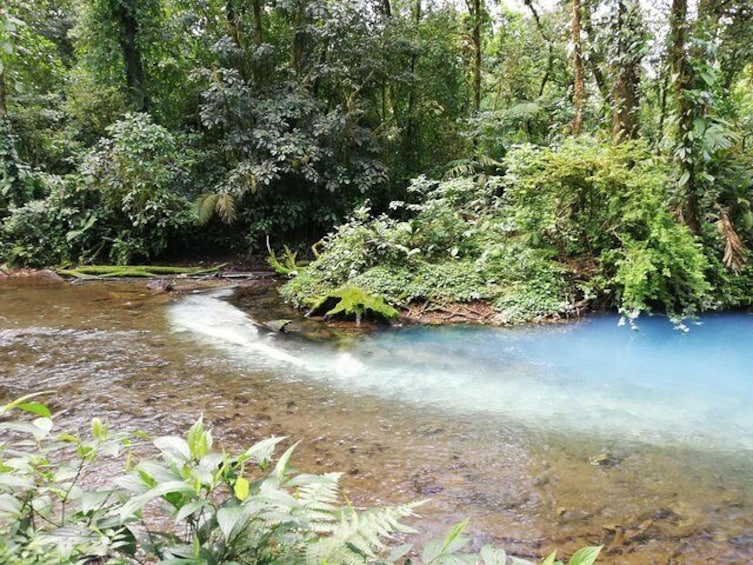 Los Teñideros, Río Celeste, Tenorio National Park