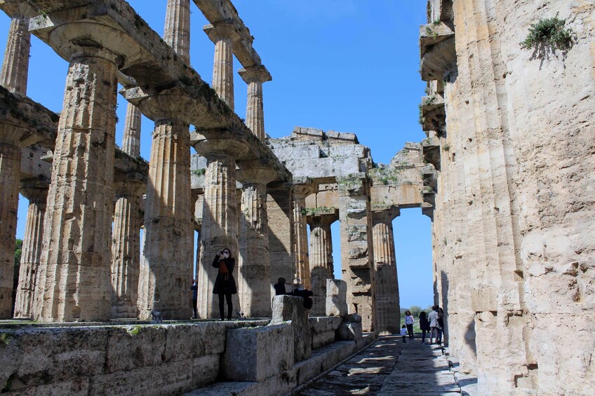 Private Paestum Greek Temples tour from Naples