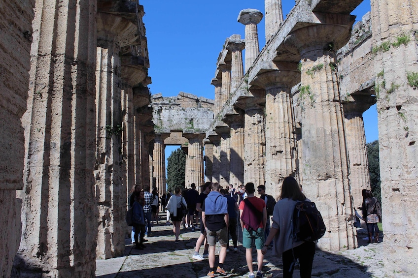 Private Paestum Greek Temples tour from Naples