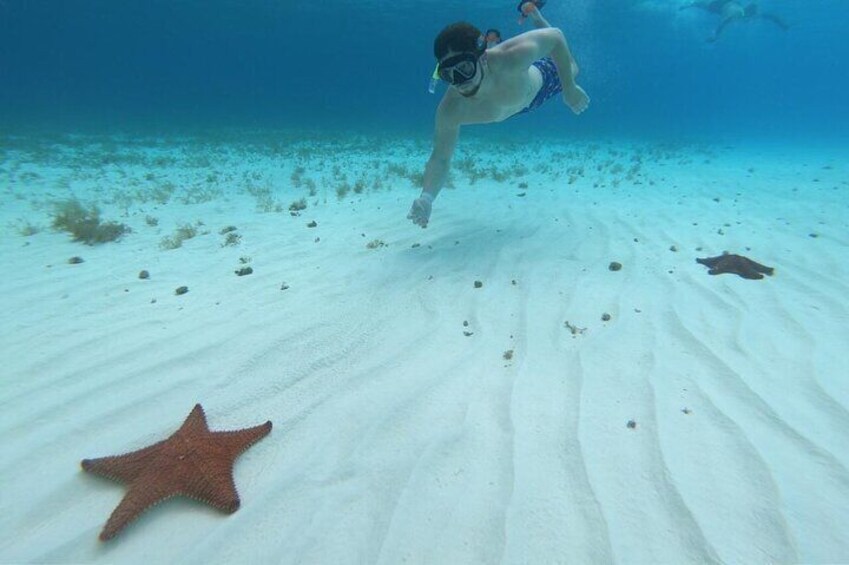 El Cielo Snorkeling