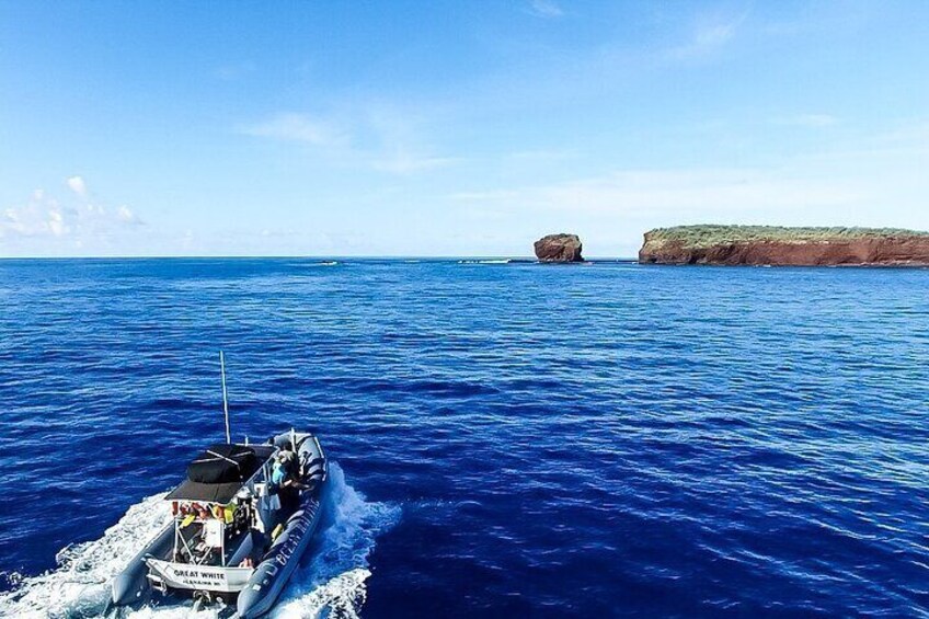 Semi-Private 4 Hour Eco-Raft Maui Snorkel Tour & Lanai Dolphins