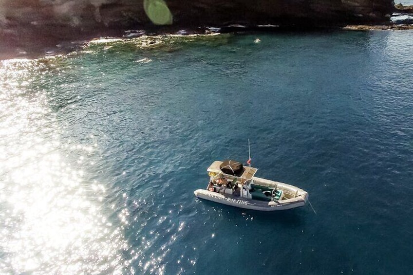 Semi-Private 4 Hour Eco-Raft Maui Snorkel Tour & Lanai Dolphins