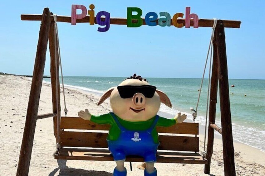 Pig Beach and Progreso City Tour