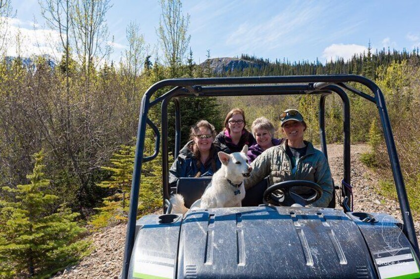 Sled Dog Adventure and Pan for Gold in the Yukon