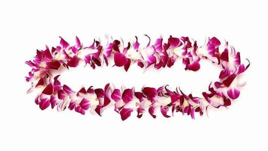 Orchid Lei