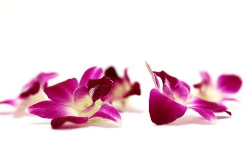 Loose orchids used to make leis

