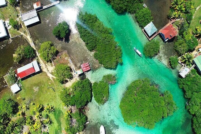 Discover this unique natural attraction in the Caribbean