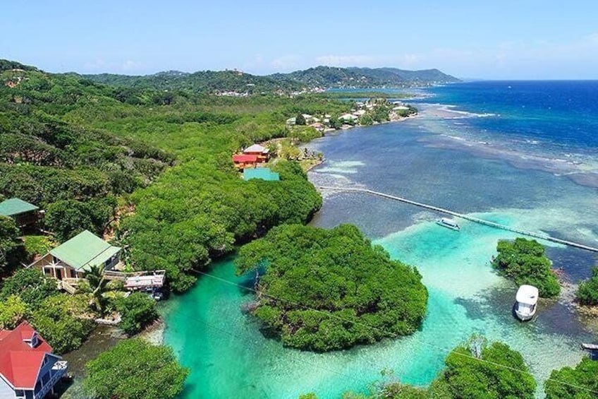 Natural Mangrove Tunnels with Turquoise Waters