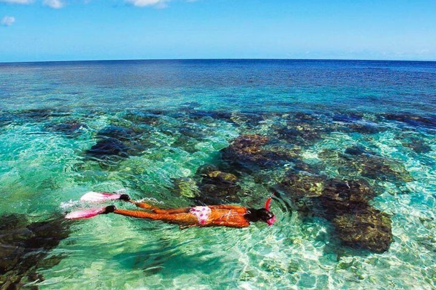 Reef snorkeling