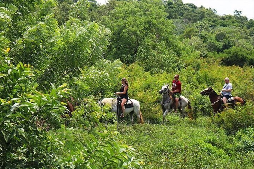 Enjoy Roatan lush island