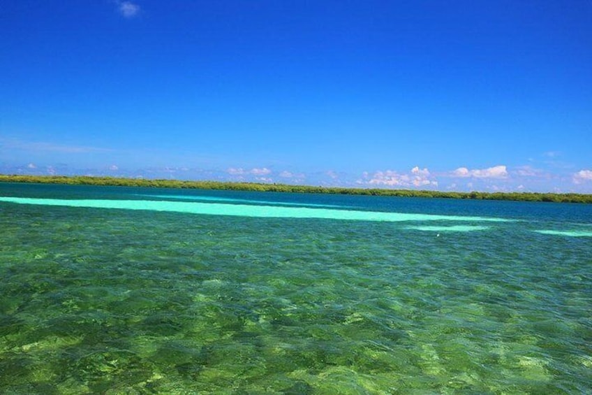 Array of blue colors