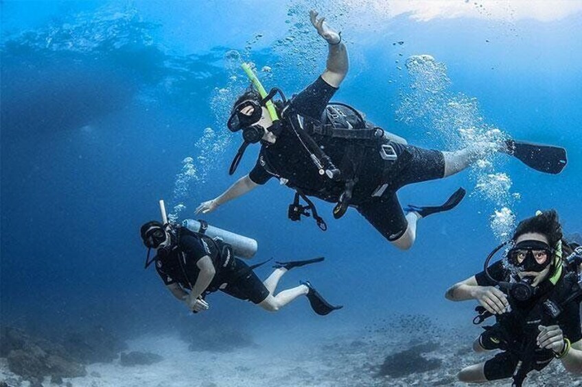 Group diving enjoying the clear waters