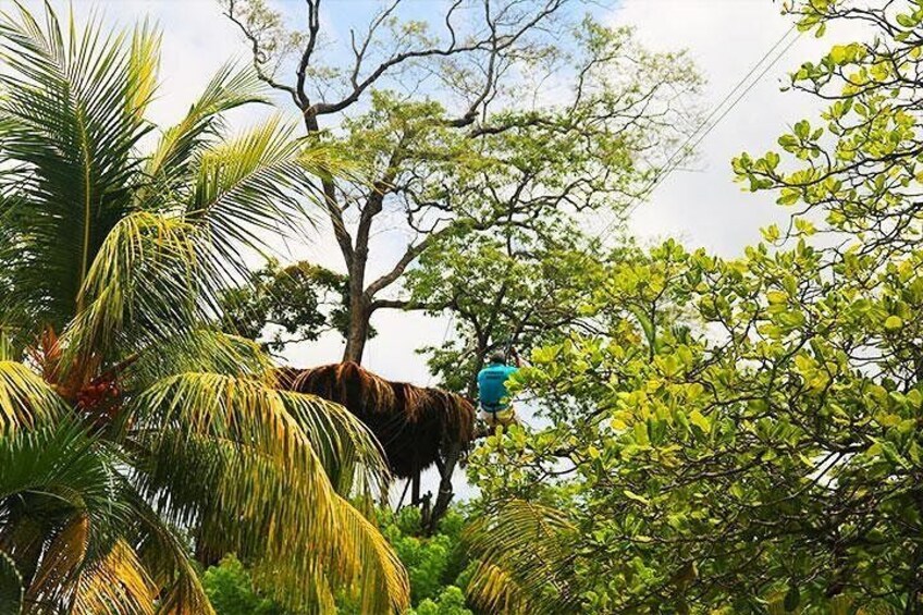 Tropical style Zipline