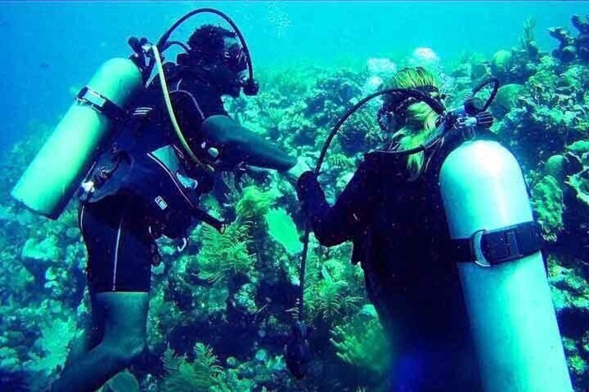 Learn to Dive in Roatan with a PRO Divemaster