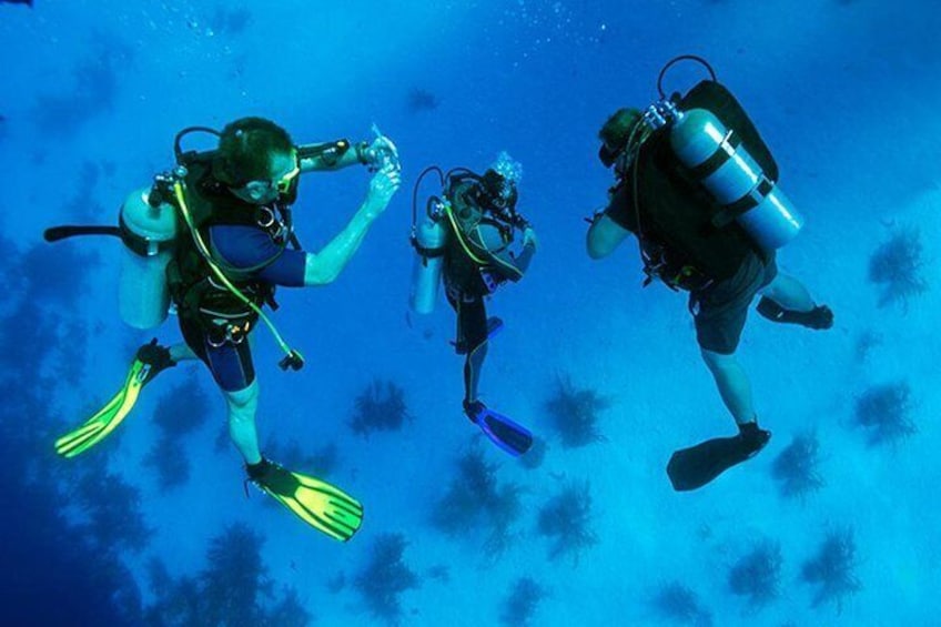 The best local diving adventure 