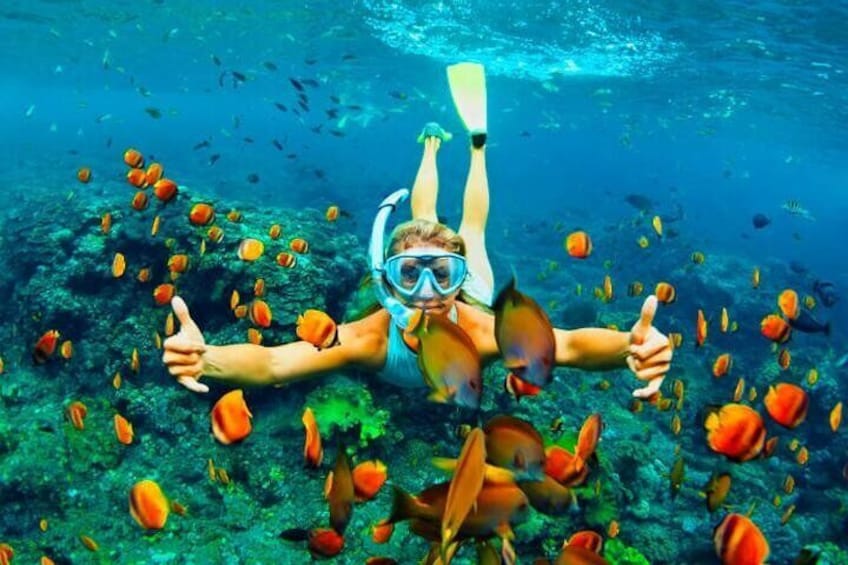Discover the rich marine life here at Roatan island