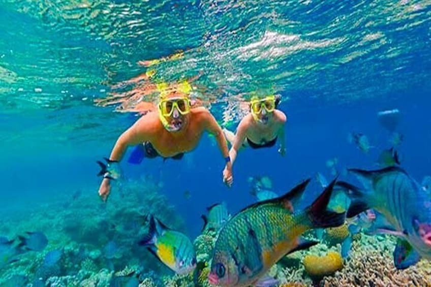 Come and experience Roatan natural aquariums