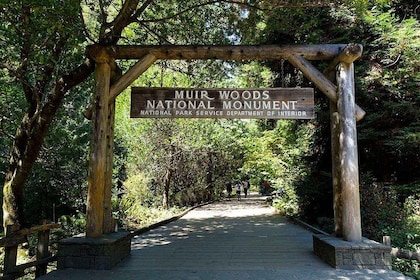 Muir Woods, Sausalito and San Francisco City Combo Private Tour