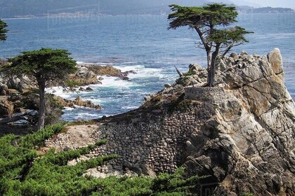 The Best Adventure Tour to Monterey,Carmel and 17 miles Drive.