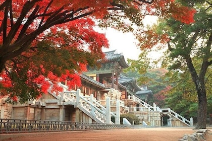 Gyeongju ONE-DAY Highlights for PRIVATE CRUISE PASSENGER'S