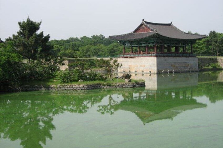 Anamji pond