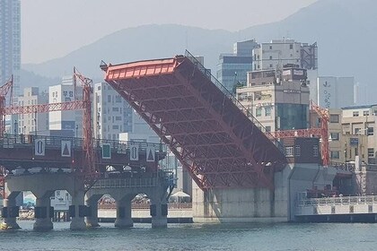 1-DAGS Busan og INKLUDERT nattur