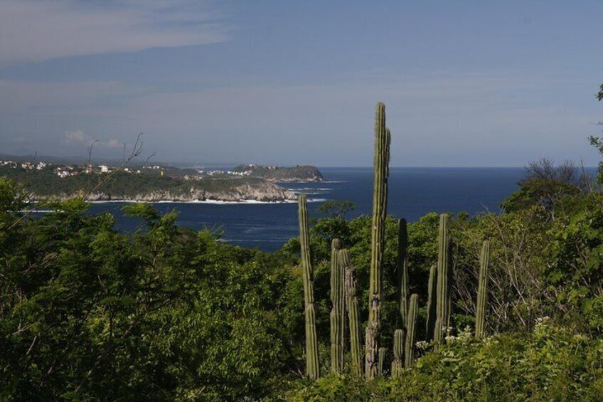 Huatulco City Tour HT