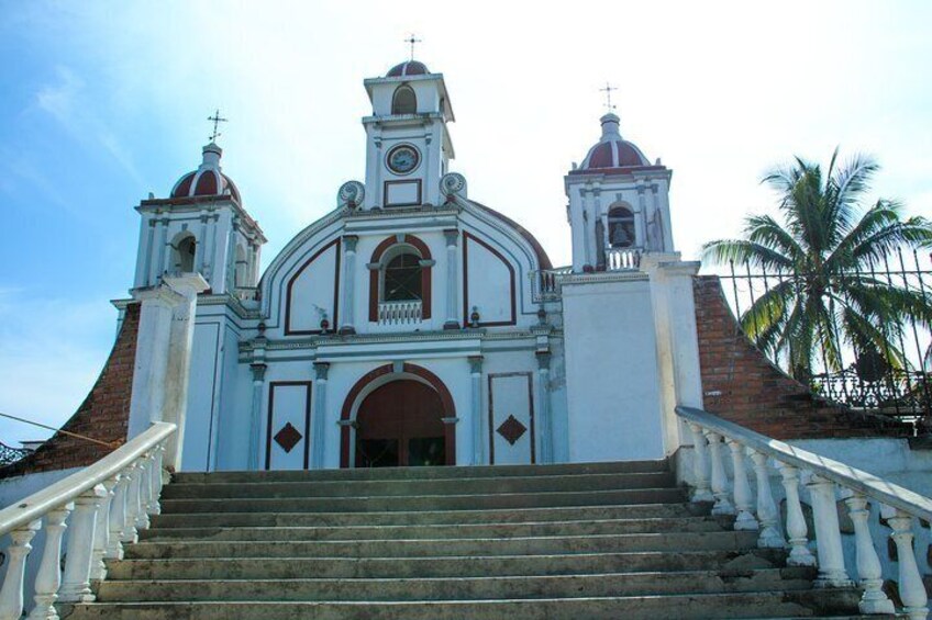 Real Coffee Plantation from Huatulco HT