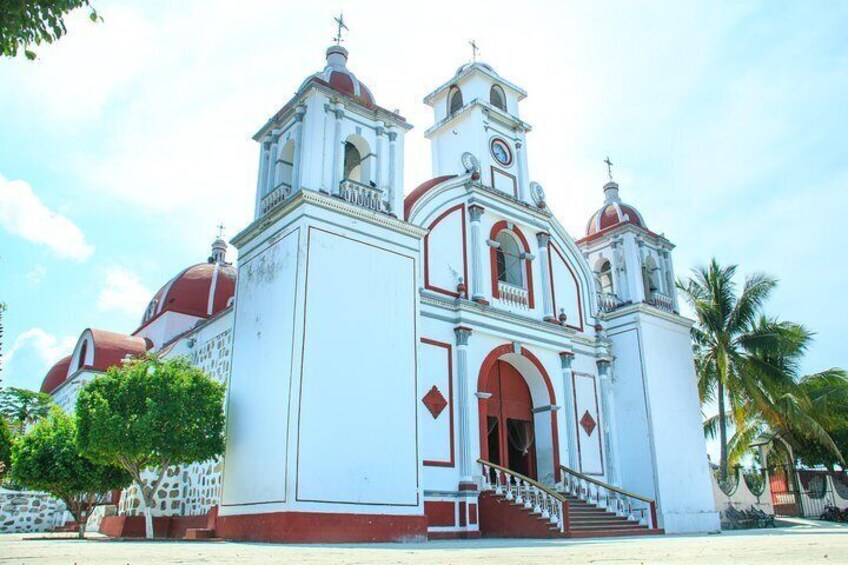 Real Coffee Plantation from Huatulco HT