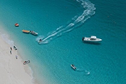 Bus per un giorno (escursione a terra)