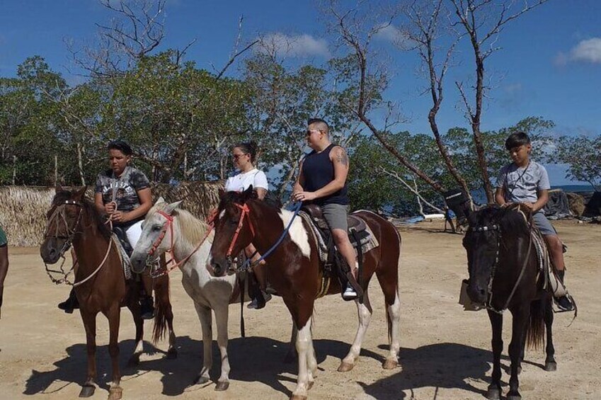 Roatan Nature Combo: Mangrove Cruise, Horseback Riding & Snorkel