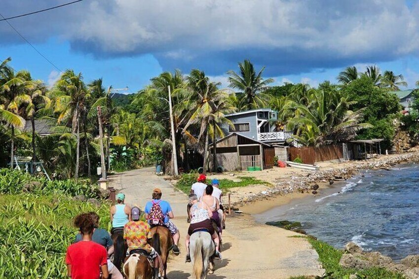 Roatan Nature Combo: Mangrove Cruise, Horseback Riding & Snorkel