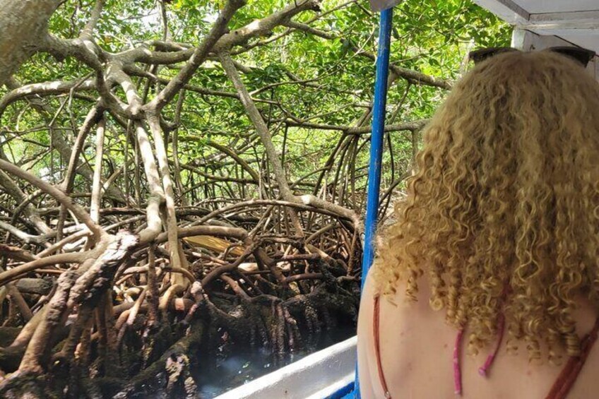 Roatan Nature Combo: Mangrove Cruise, Horseback Riding & Snorkel